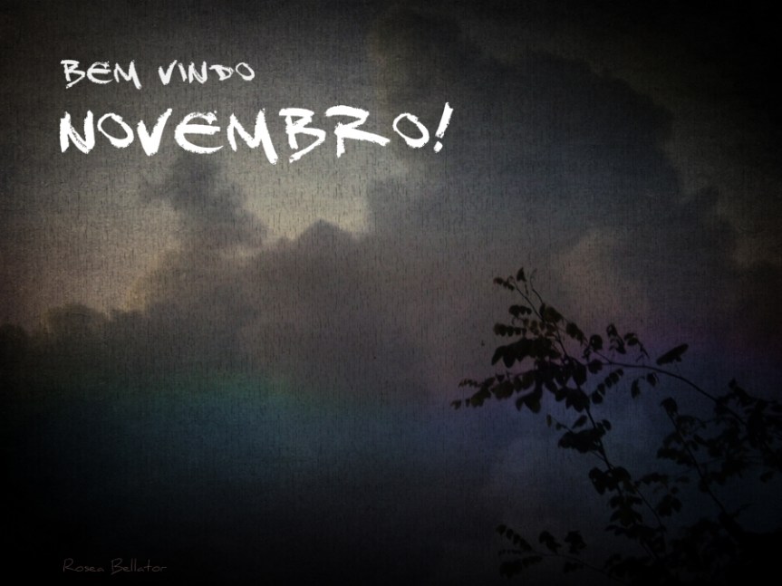 Bem-Vindo Novembro!