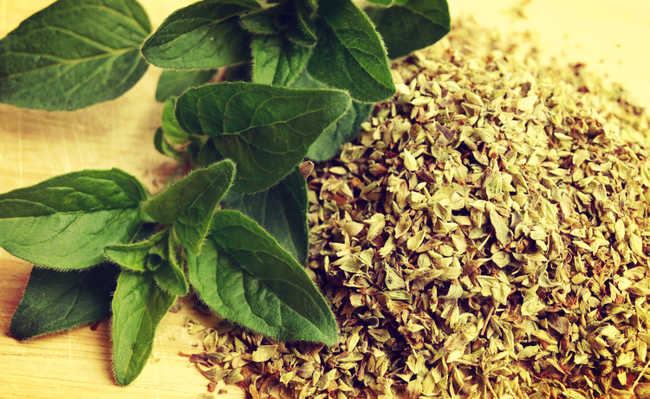 Oregáno – A erva da&nbsp;Alegria